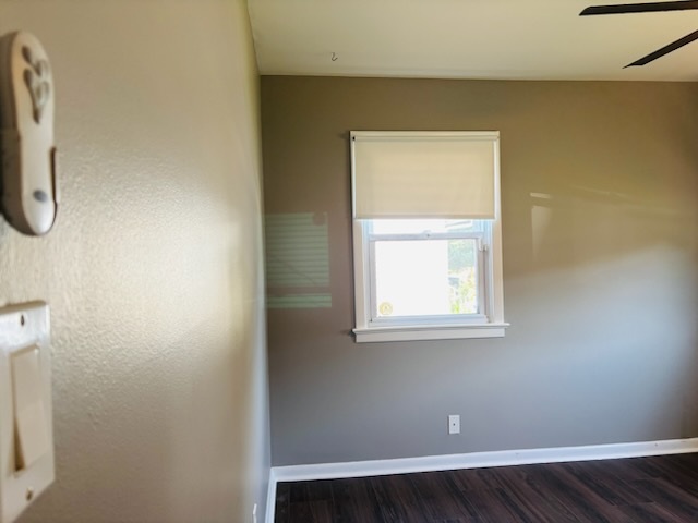 Gallery Photo 27
